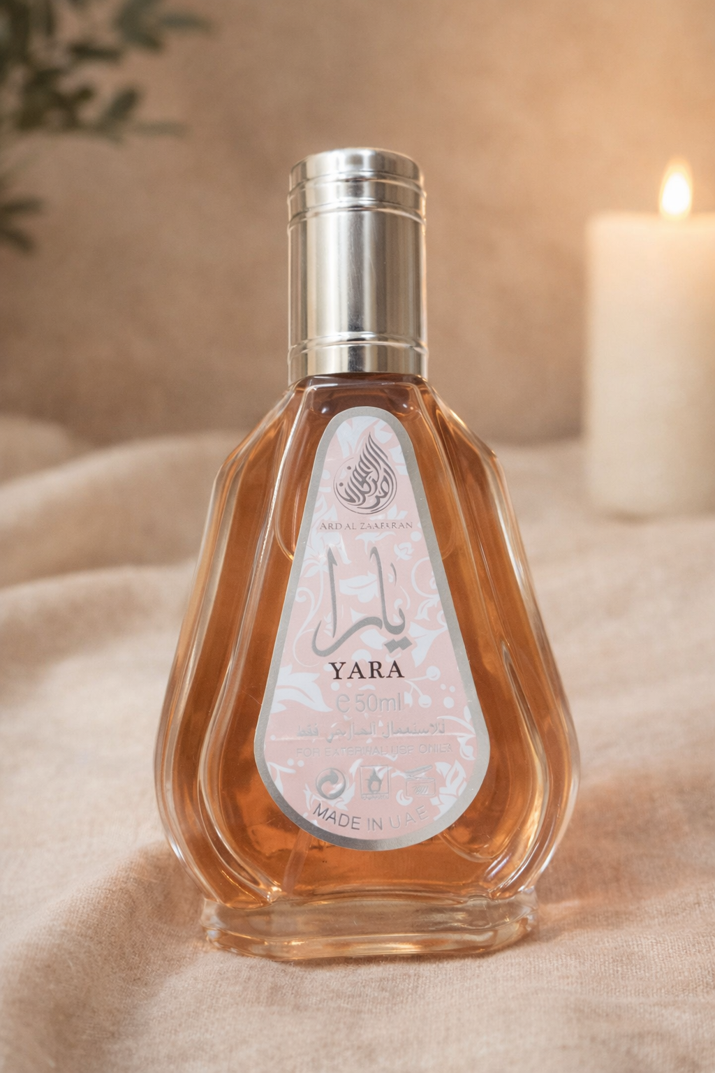 ESPECIAL DIA DE LA MADRE